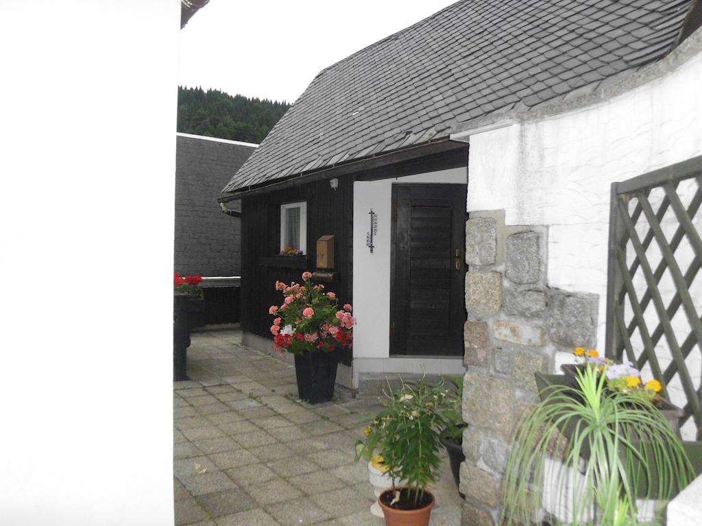 Fewo-Mueller Klingenthal Habitación foto