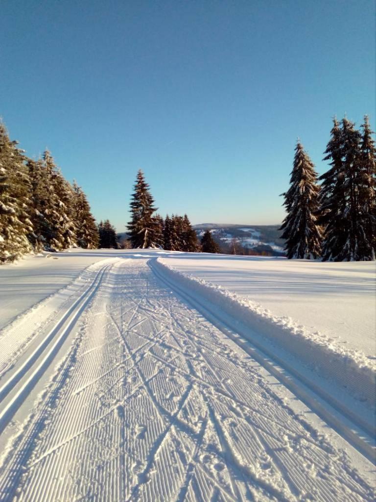 Fewo-Mueller Klingenthal Exterior foto